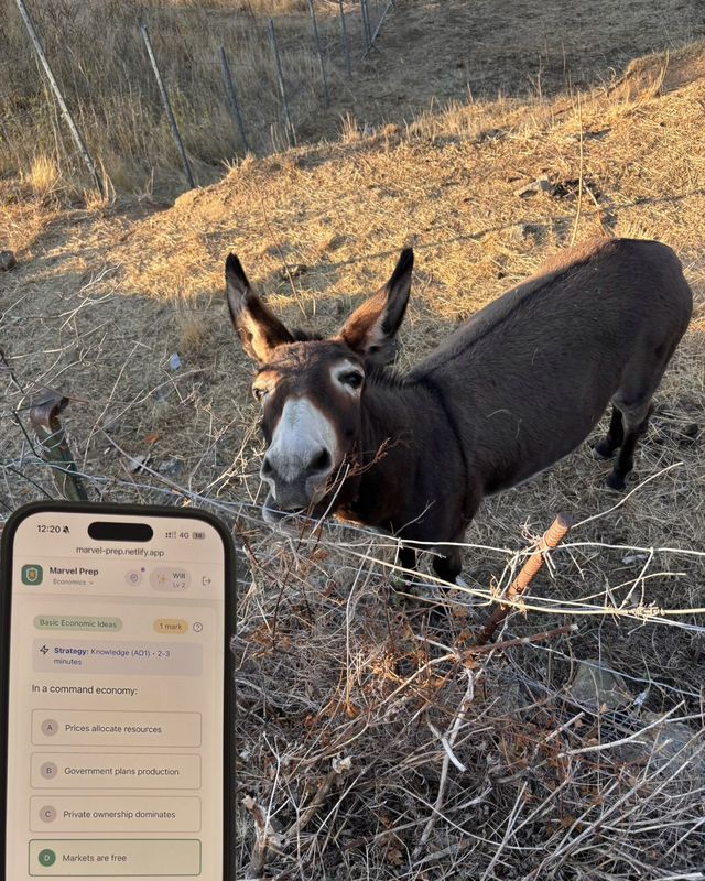 The MarvelPrep app on a phone beside a curious donkey at a fence